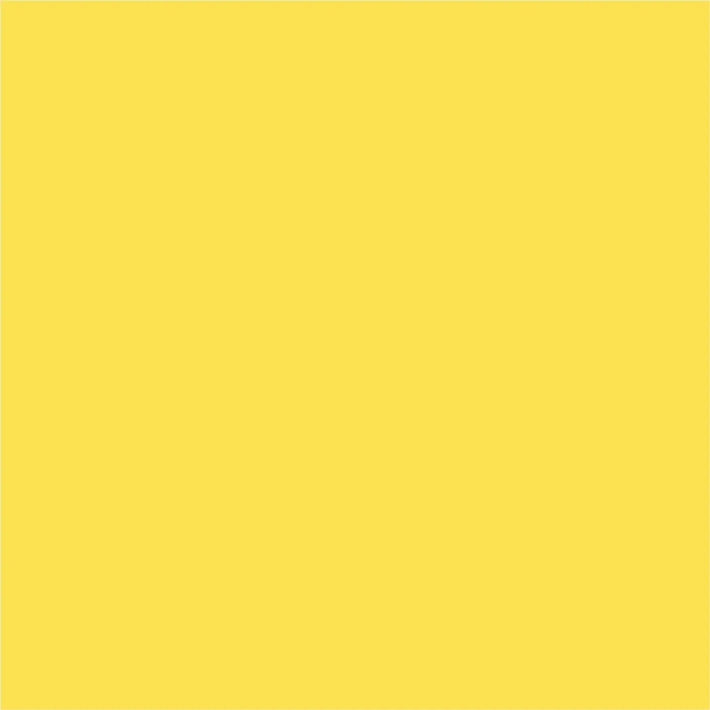 Tweety 8X8 Ultracloth ( 96 X Inch ) Backdrop