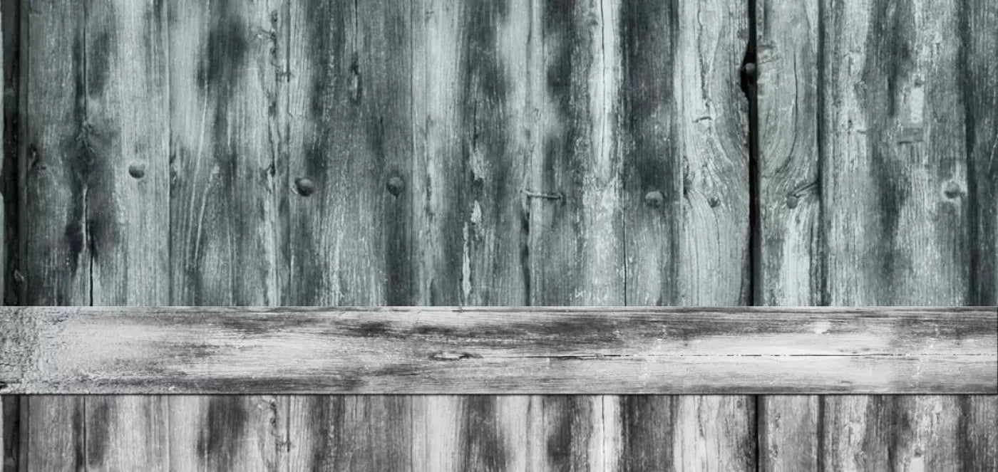 Two Tone 16X8 Ultracloth ( 192 X 96 Inch ) Backdrop