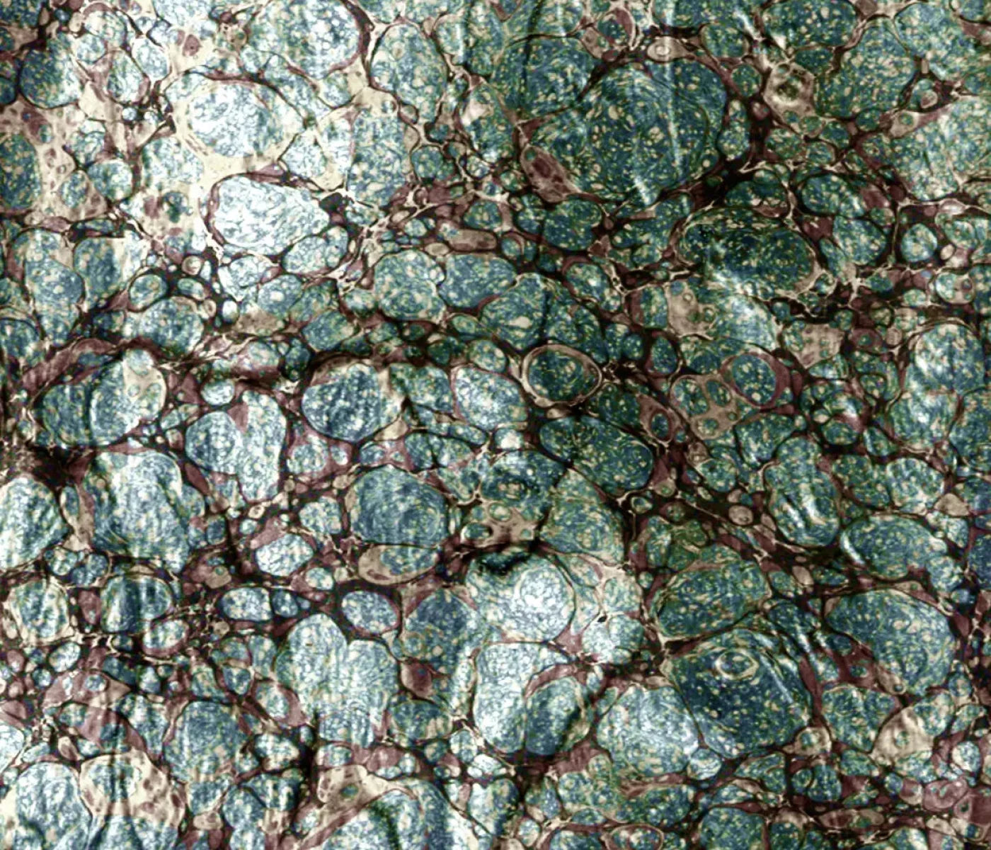 Unrefined 12X10 Ultracloth ( 144 X 120 Inch ) Backdrop