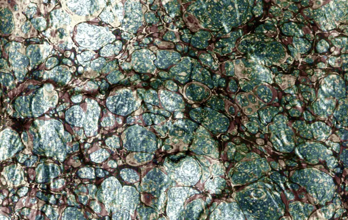 Unrefined 16X10 Ultracloth ( 192 X 120 Inch ) Backdrop