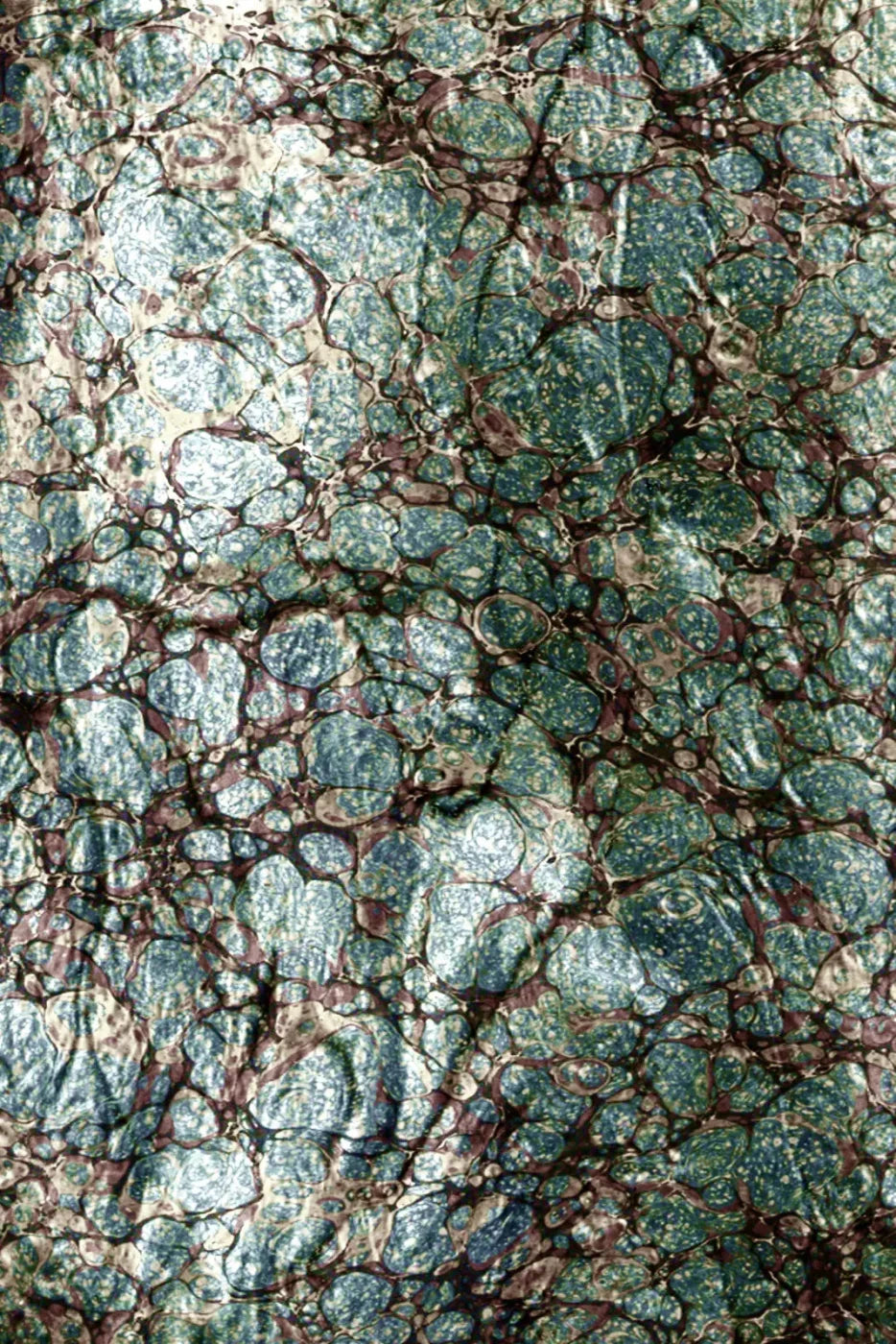 Unrefined 5X8 Ultracloth ( 60 X 96 Inch ) Backdrop