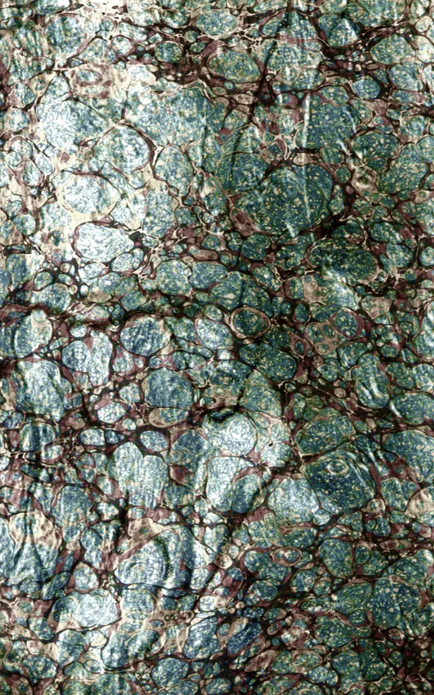 Unrefined 9X14 Ultracloth ( 108 X 168 Inch ) Backdrop