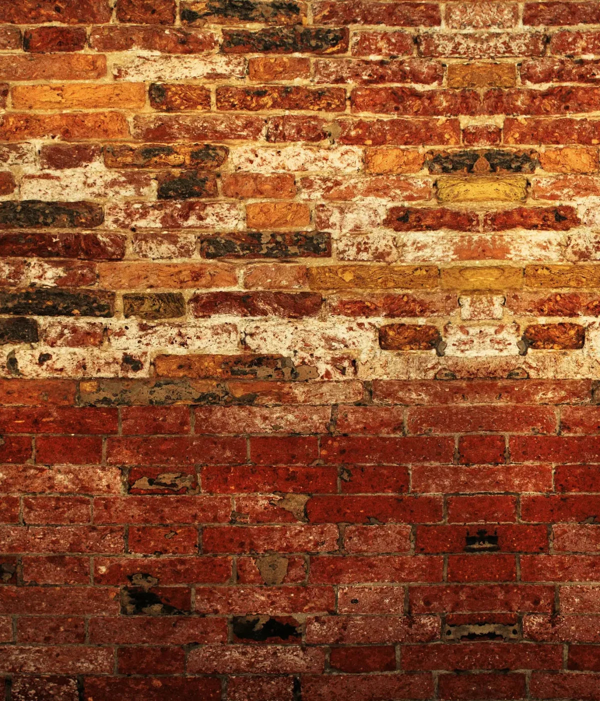 Up Against The Wall 10X12 Ultracloth ( 120 X 144 Inch ) Backdrop