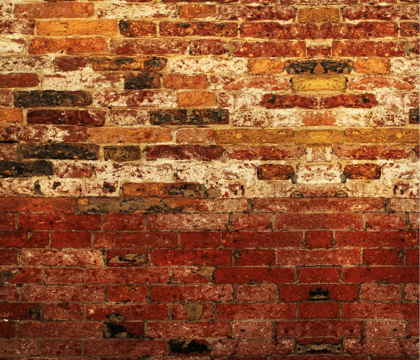 Up Against The Wall 12X10 Ultracloth ( 144 X 120 Inch ) Backdrop