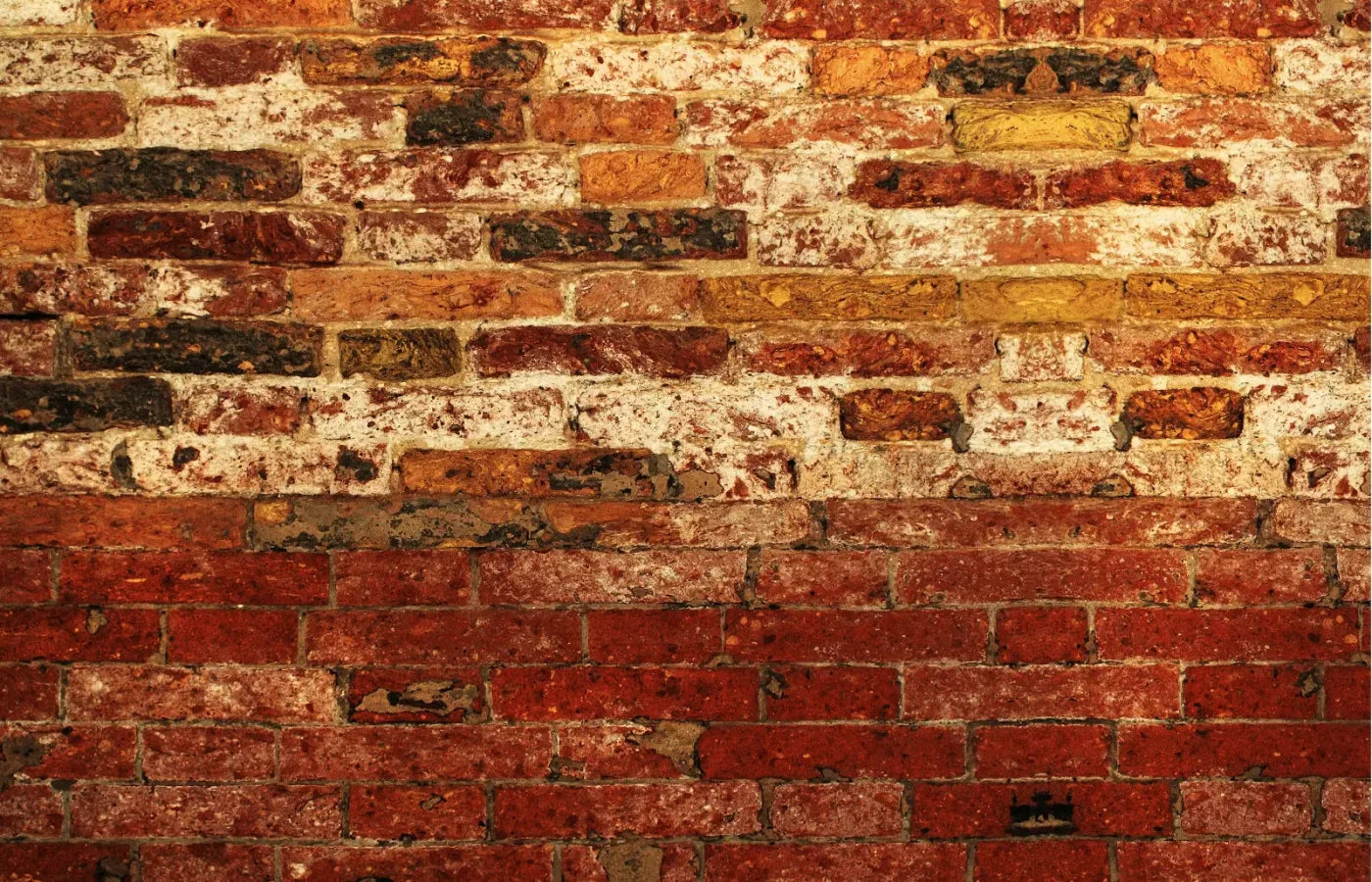 Up Against The Wall 12X8 Ultracloth ( 144 X 96 Inch ) Backdrop
