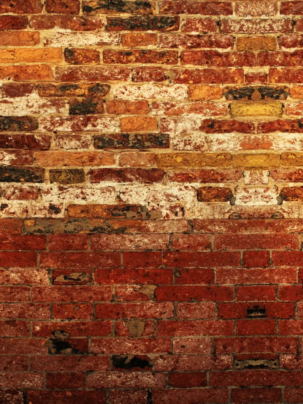 Up Against The Wall 5X68 Fleece ( 60 X 80 Inch ) Backdrop