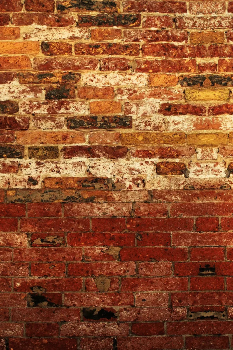 Up Against The Wall 5X8 Ultracloth ( 60 X 96 Inch ) Backdrop