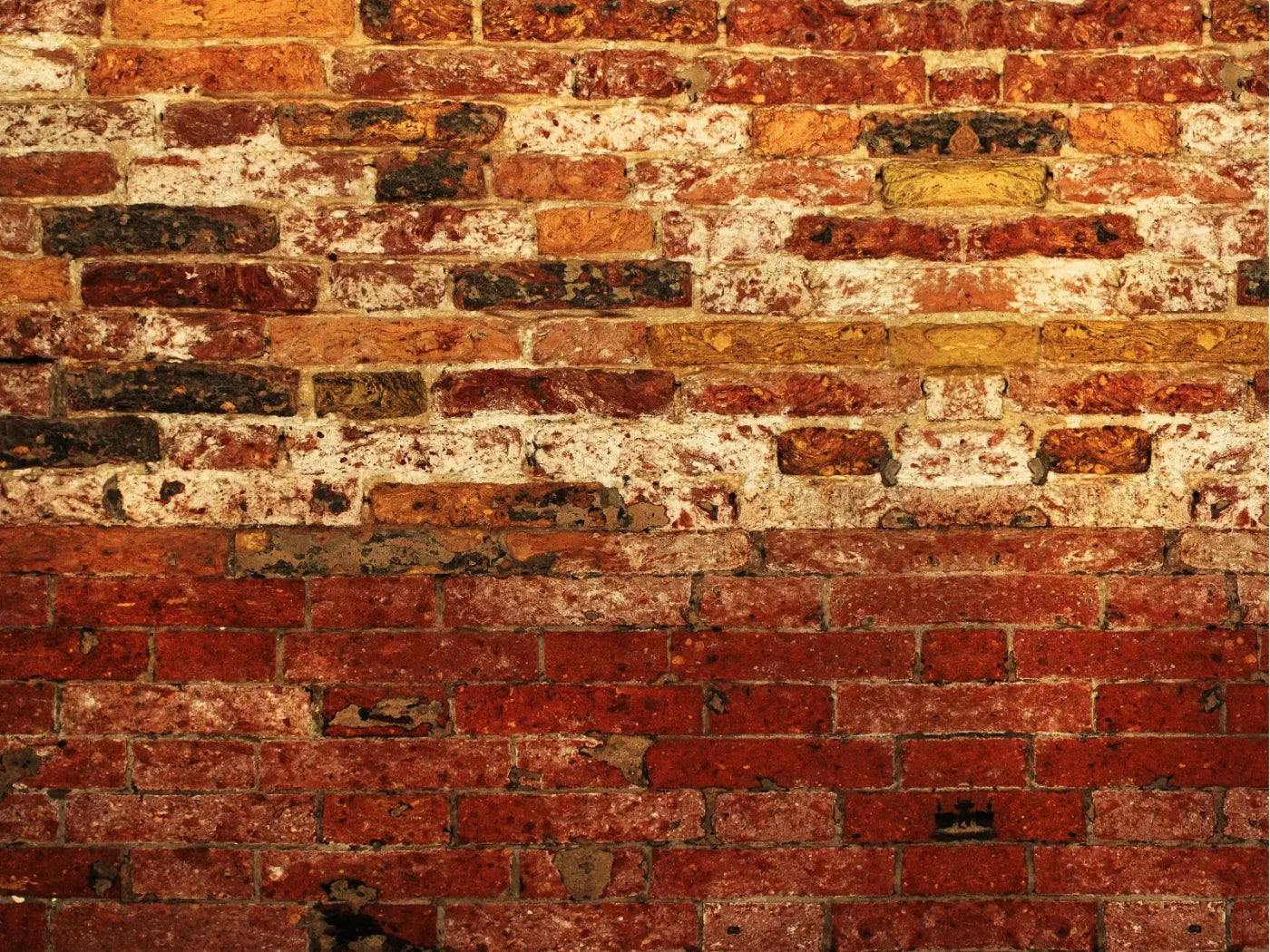 Up Against The Wall 68X5 Fleece ( 80 X 60 Inch ) Backdrop