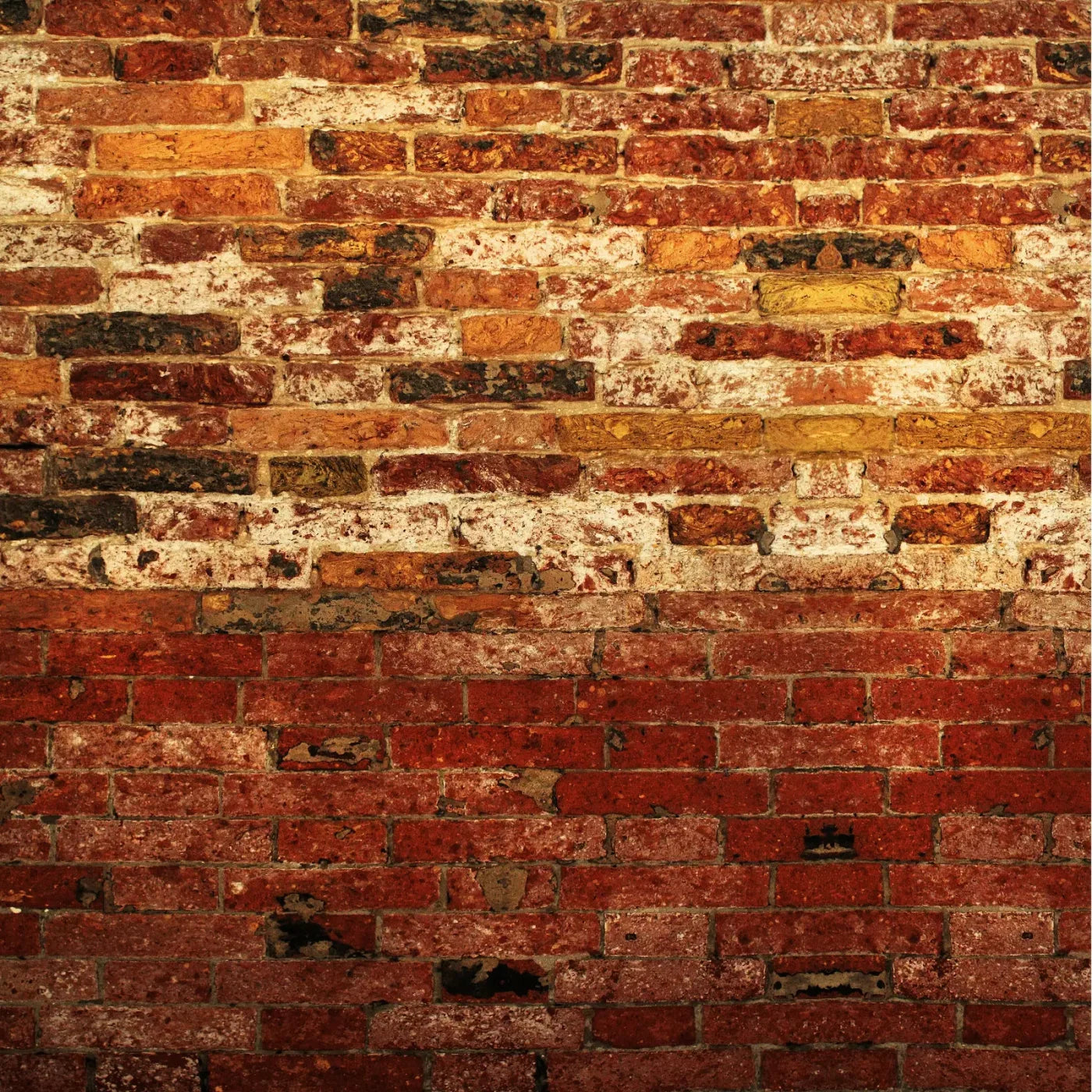 Up Against The Wall 8X8 Fleece ( 96 X Inch ) Backdrop