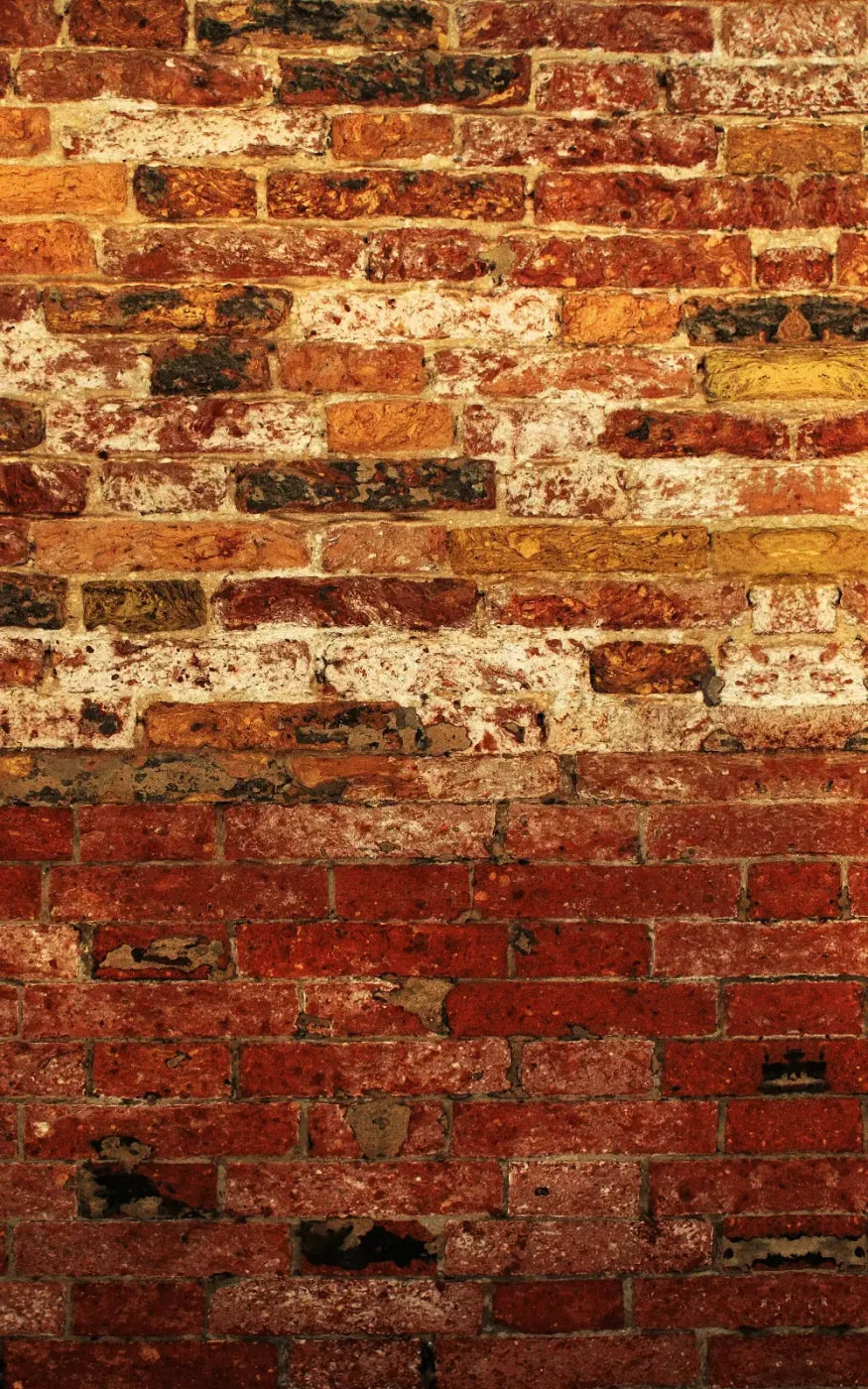 Up Against The Wall 9X14 Ultracloth ( 108 X 168 Inch ) Backdrop