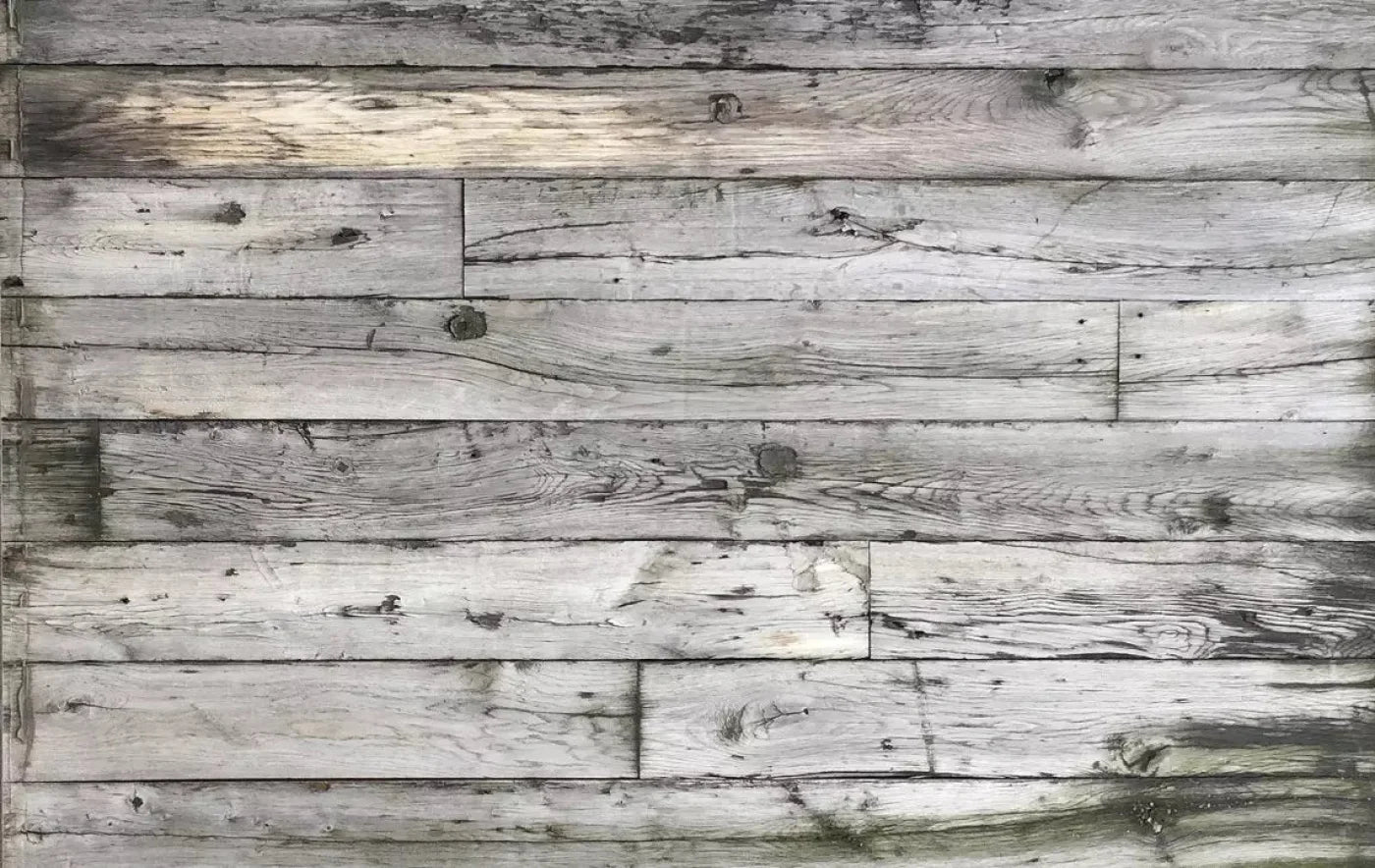 Urban Acres 16X10 Ultracloth ( 192 X 120 Inch ) Backdrop