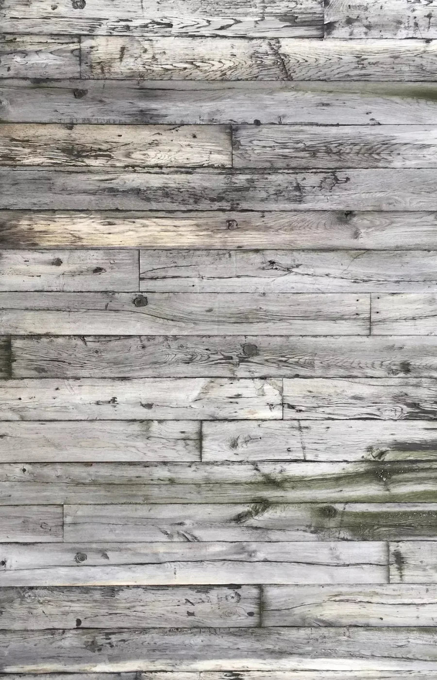 Urban Acres 8X12 Ultracloth ( 96 X 144 Inch ) Backdrop