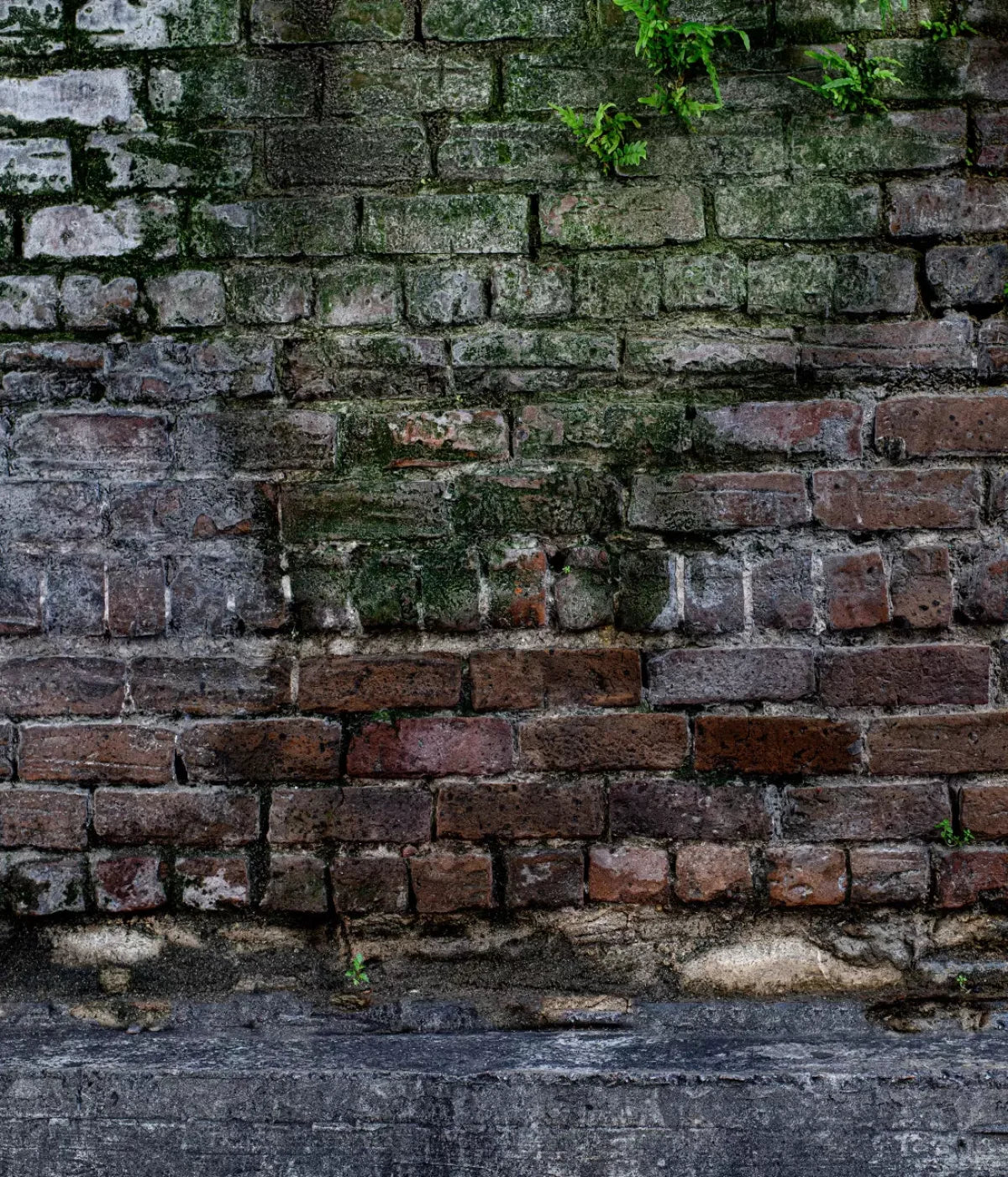 Urban Brick 10X12 Ultracloth ( 120 X 144 Inch ) Backdrop