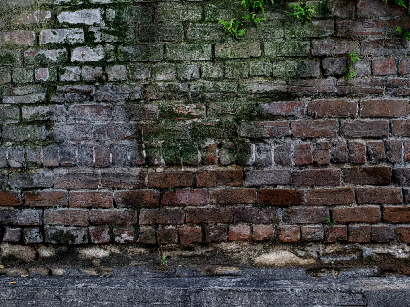Urban Brick 10X8 Fleece ( 120 X 96 Inch ) Backdrop
