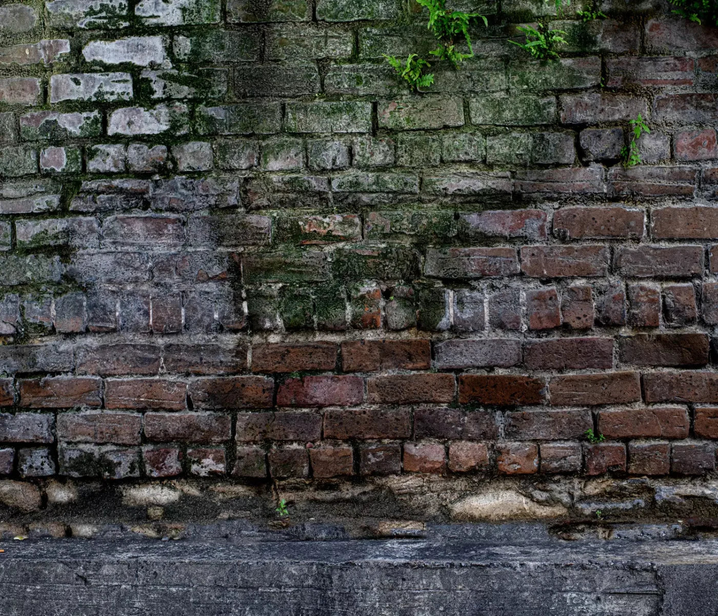 Urban Brick 12X10 Ultracloth ( 144 X 120 Inch ) Backdrop