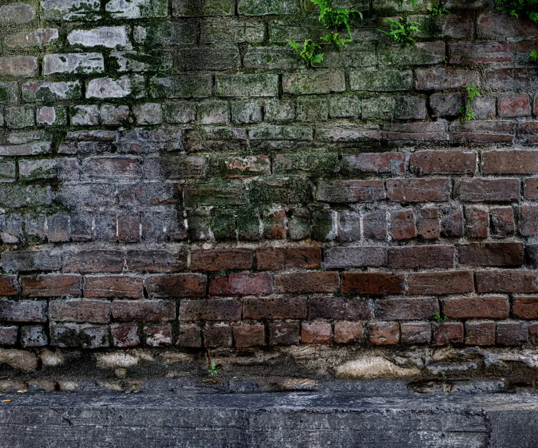 Urban Brick 5X42 Fleece ( 60 X 50 Inch ) Backdrop