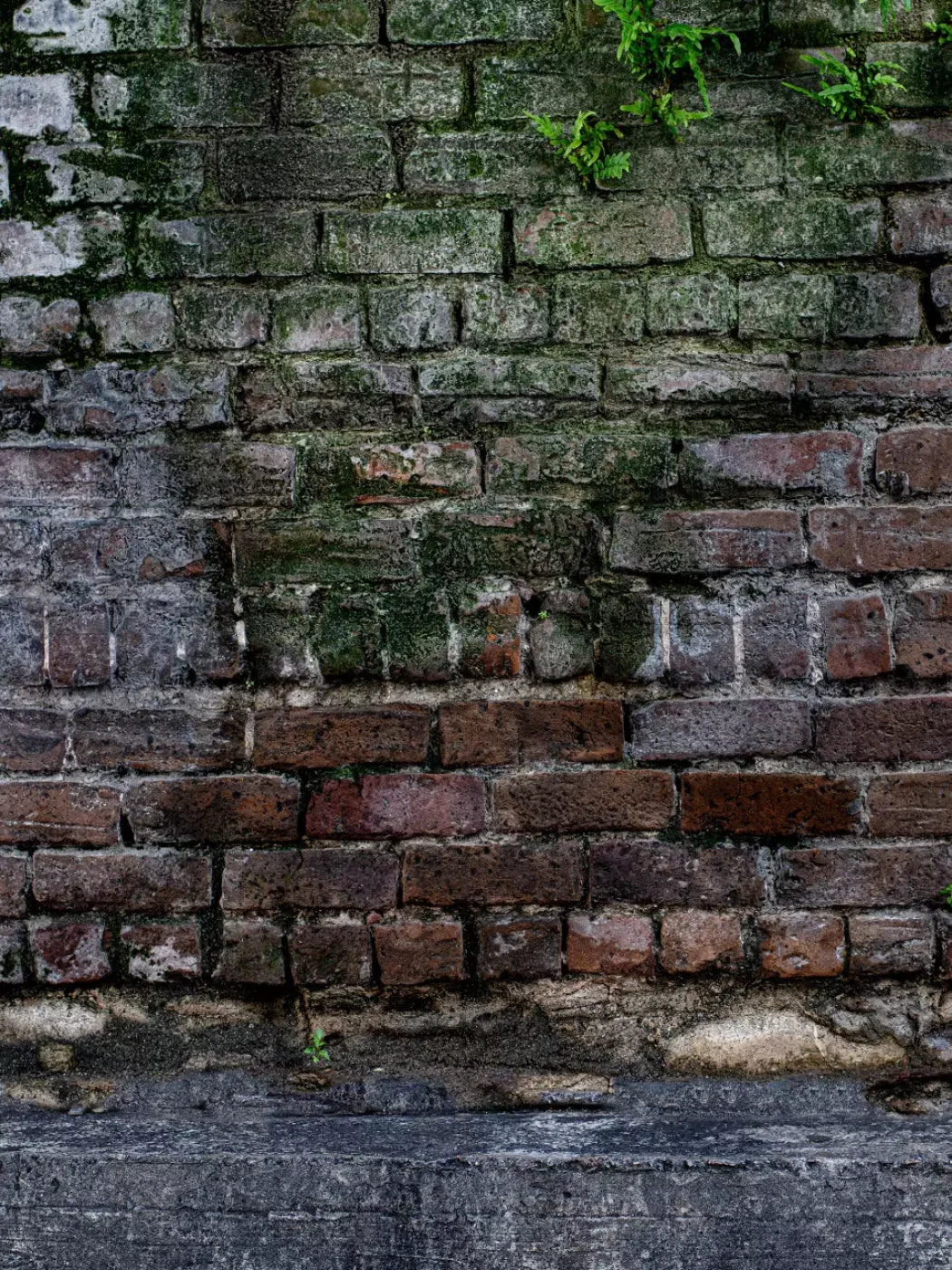 Urban Brick 8X10 Fleece ( 96 X 120 Inch ) Backdrop