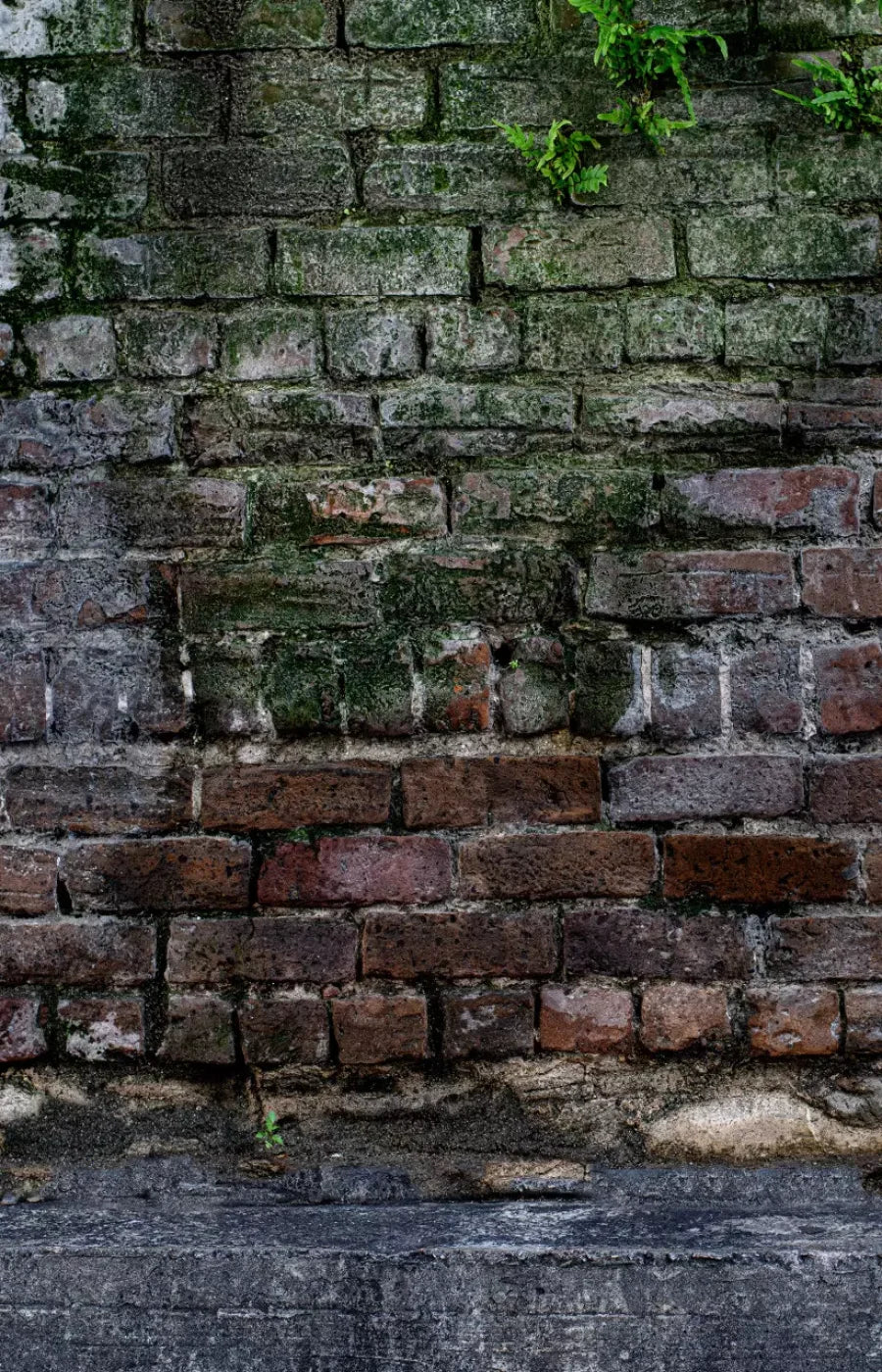 Urban Brick 8X12 Ultracloth ( 96 X 144 Inch ) Backdrop