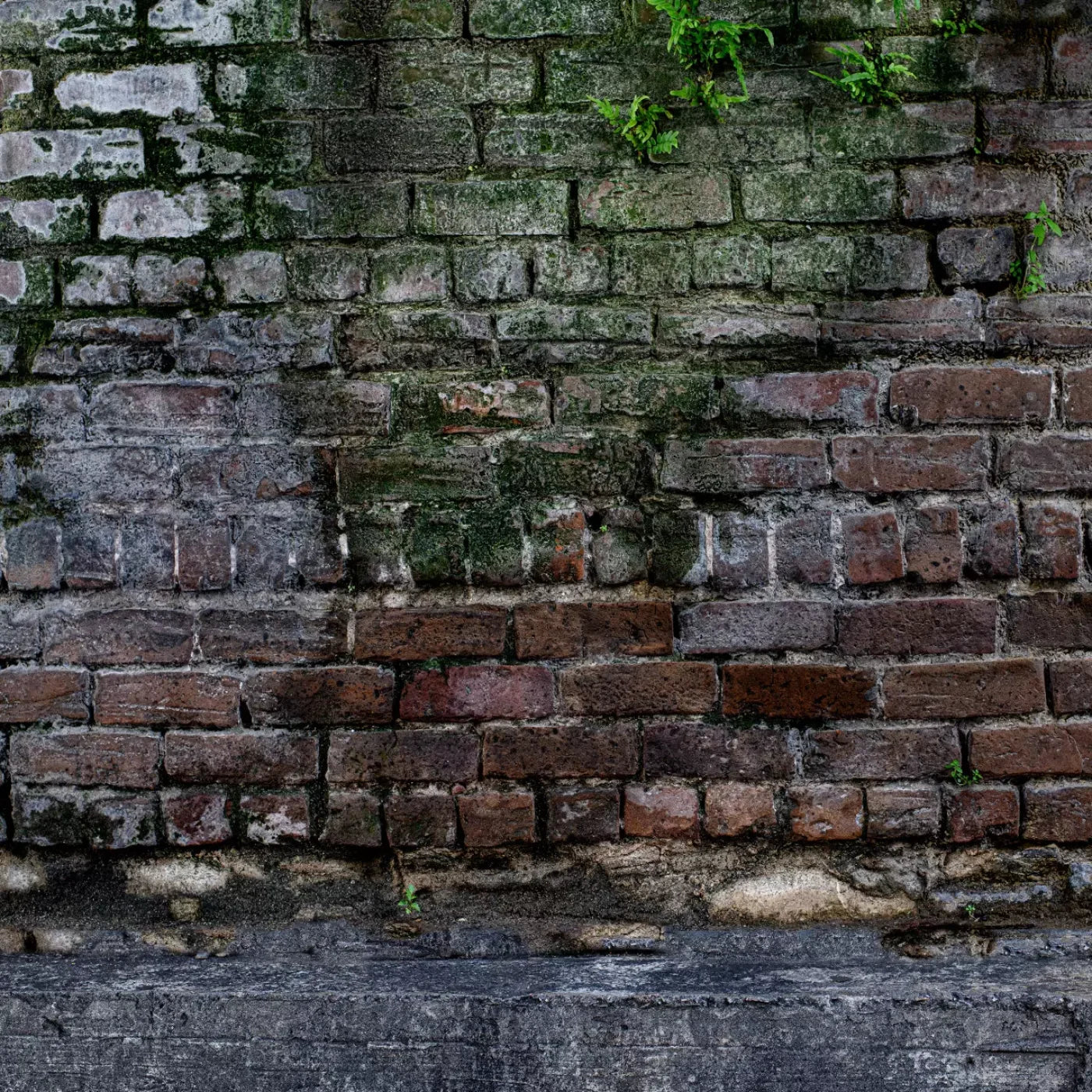 Urban Brick 8X8 Fleece ( 96 X Inch ) Backdrop