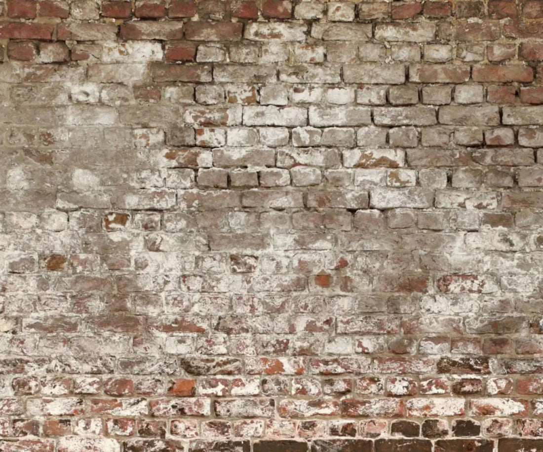 Urban Decay 5X42 Fleece ( 60 X 50 Inch ) Backdrop