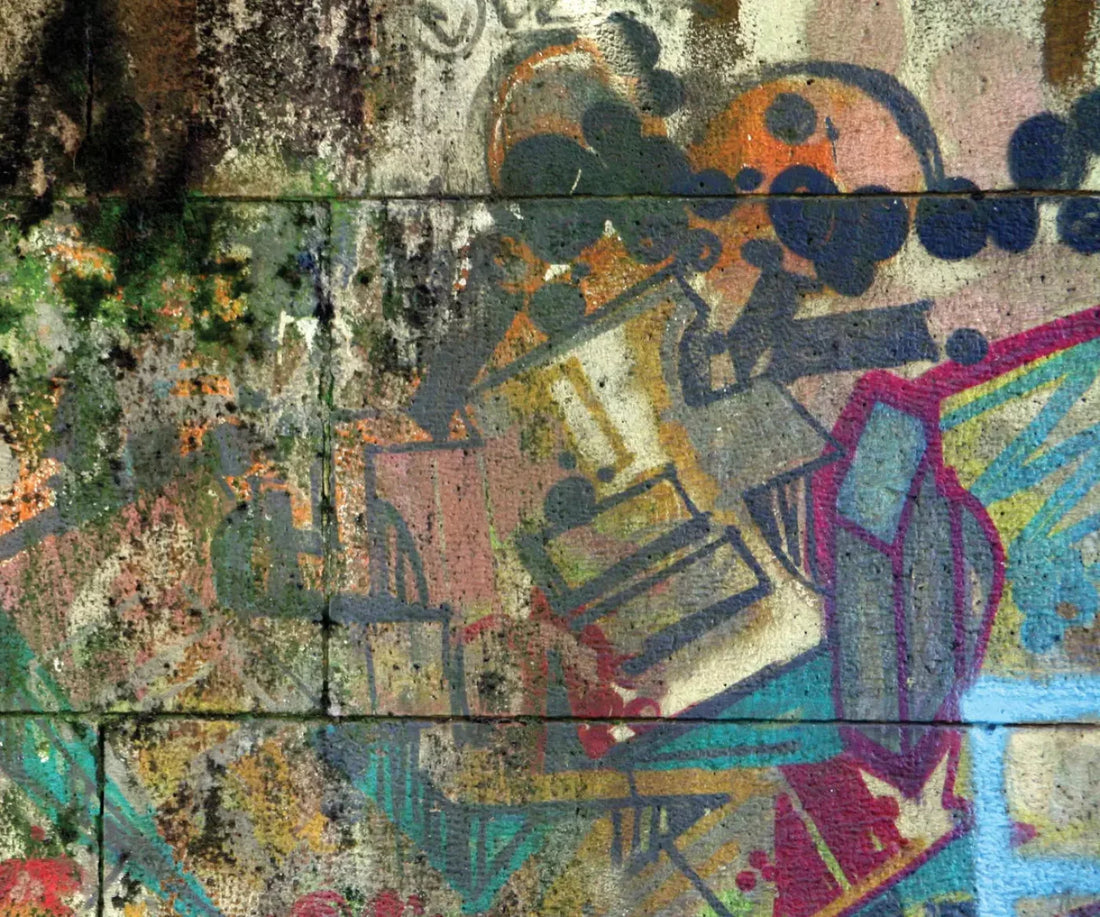 Urban Life 5X42 Fleece ( 60 X 50 Inch ) Backdrop