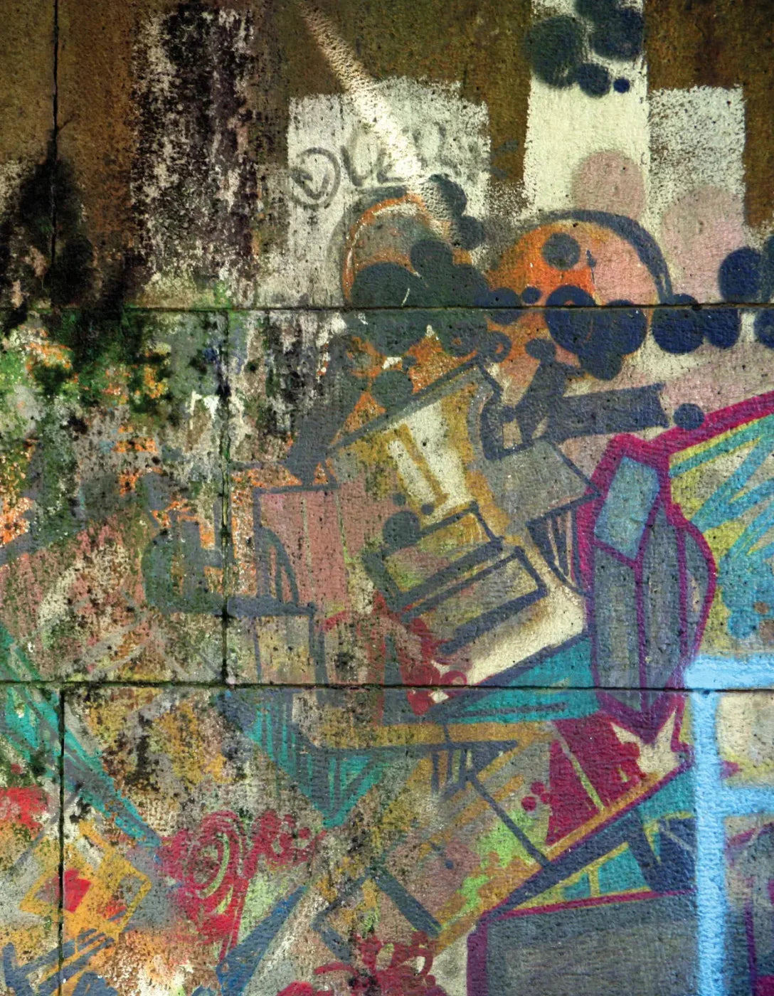 Urban Life 6X8 Fleece ( 72 X 96 Inch ) Backdrop