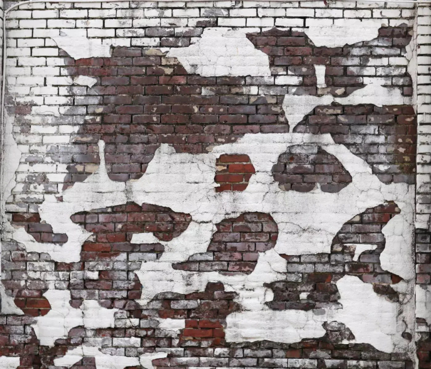 Urban Snow 12X10 Ultracloth ( 144 X 120 Inch ) Backdrop