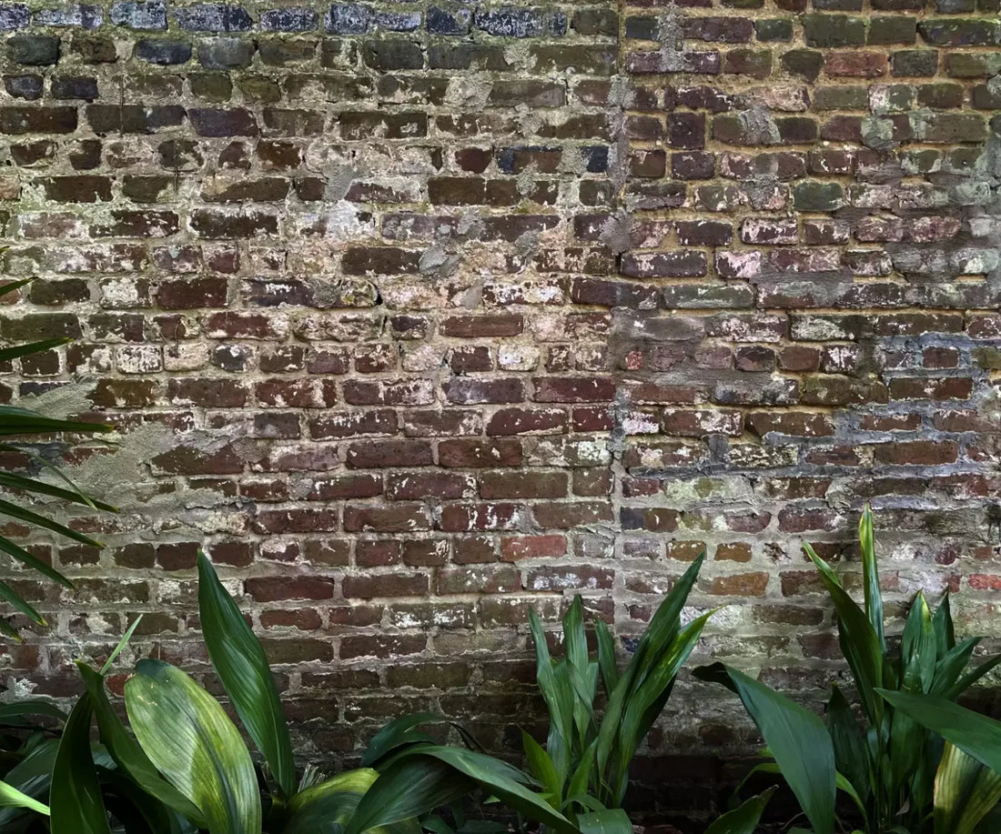 Urban Wall 5X42 Fleece ( 60 X 50 Inch ) Backdrop