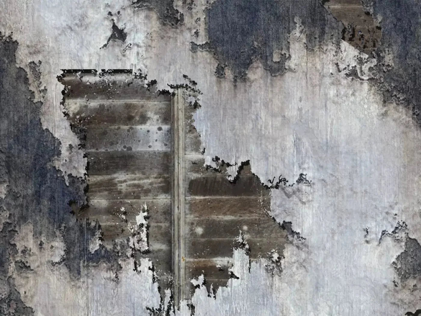 Urge 10X8 Fleece ( 120 X 96 Inch ) Backdrop