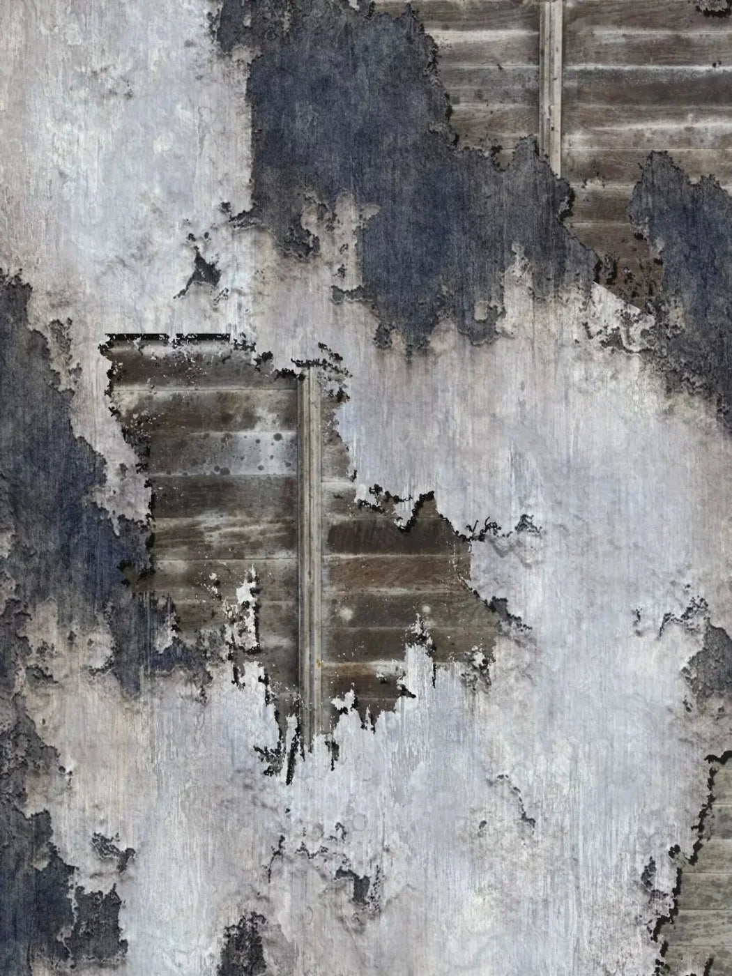 Urge 8X10 Fleece ( 96 X 120 Inch ) Backdrop