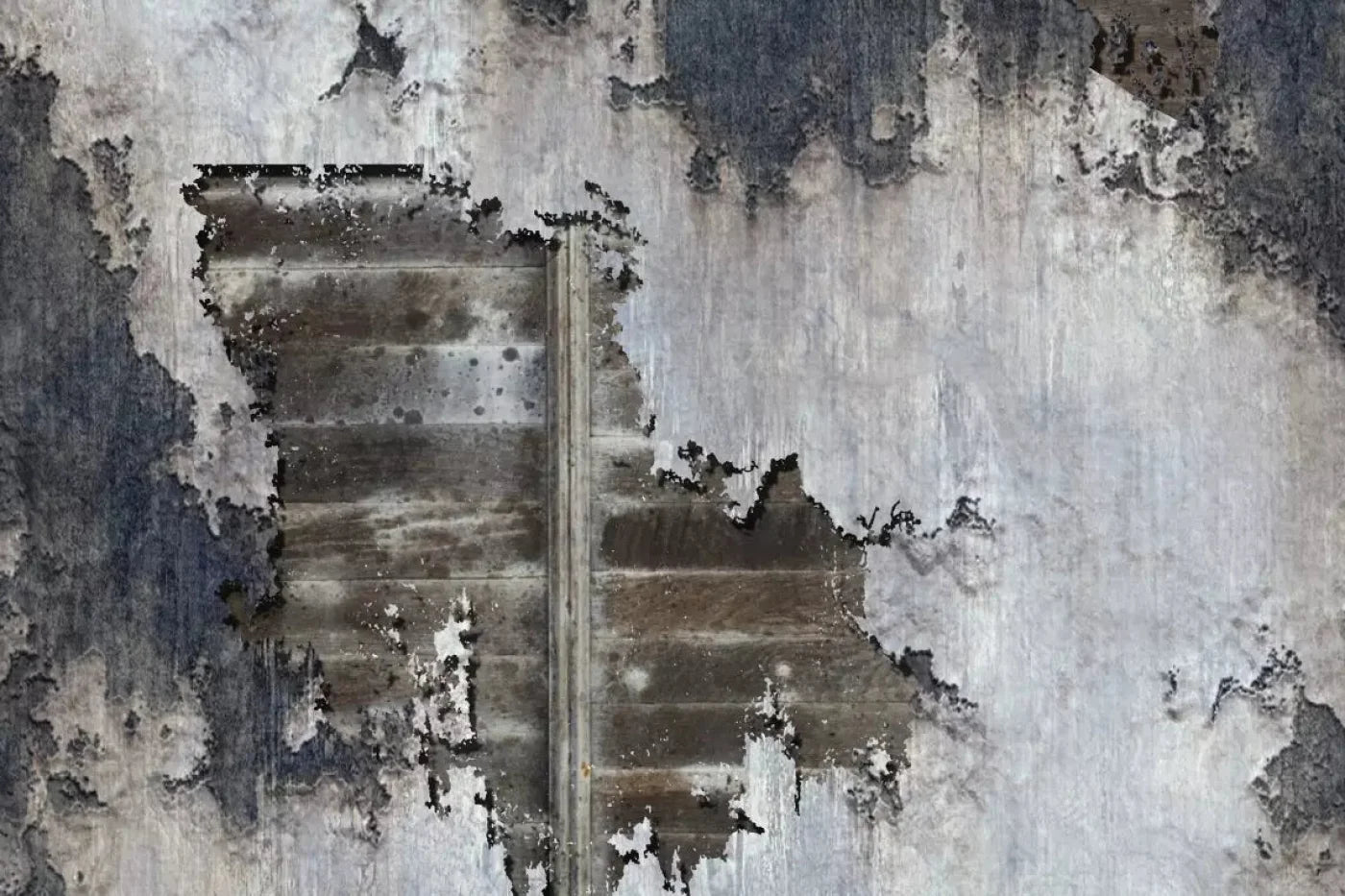 Urge 8X5 Ultracloth ( 96 X 60 Inch ) Backdrop