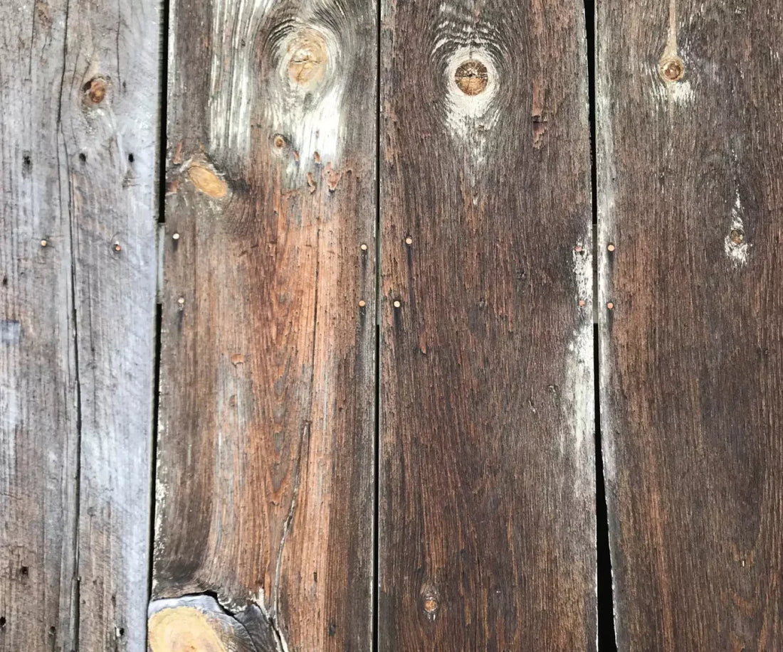 Vancouver 5X42 Fleece ( 60 X 50 Inch ) Backdrop