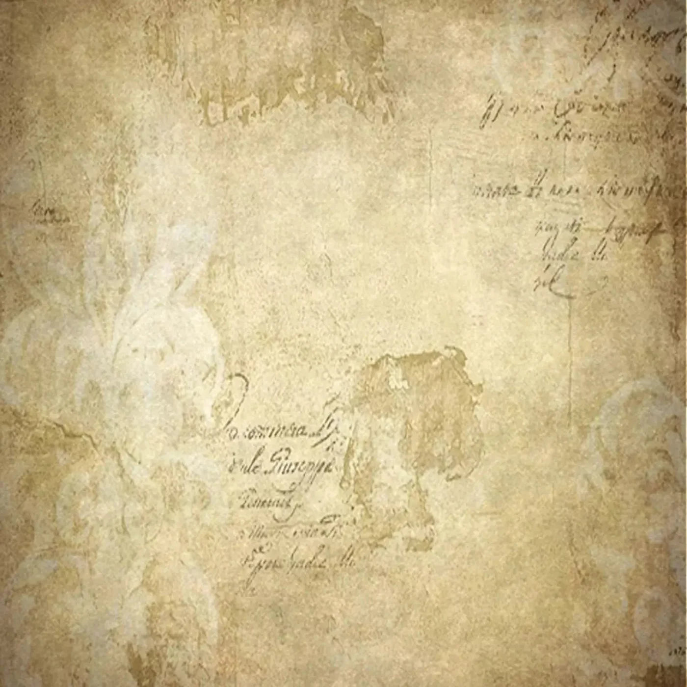 Venice 10X10 Ultracloth ( 120 X Inch ) Backdrop