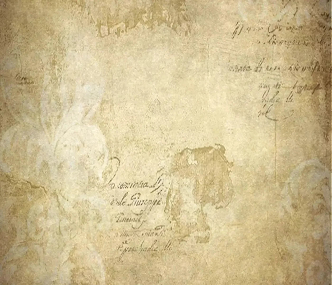 Venice 12X10 Ultracloth ( 144 X 120 Inch ) Backdrop