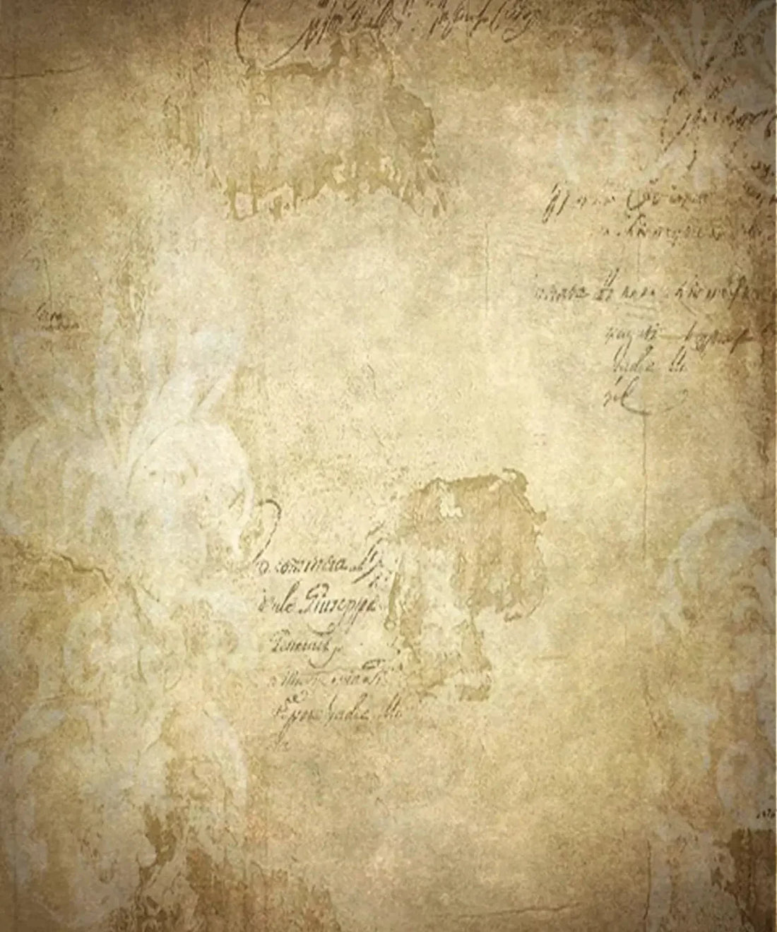 Beige Vignette Backdrop for Photography