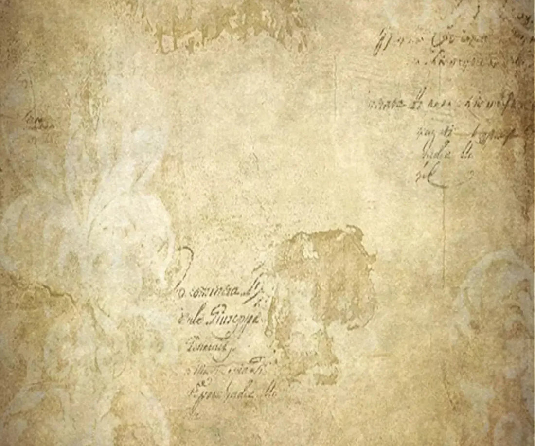 Venice 5X42 Fleece ( 60 X 50 Inch ) Backdrop