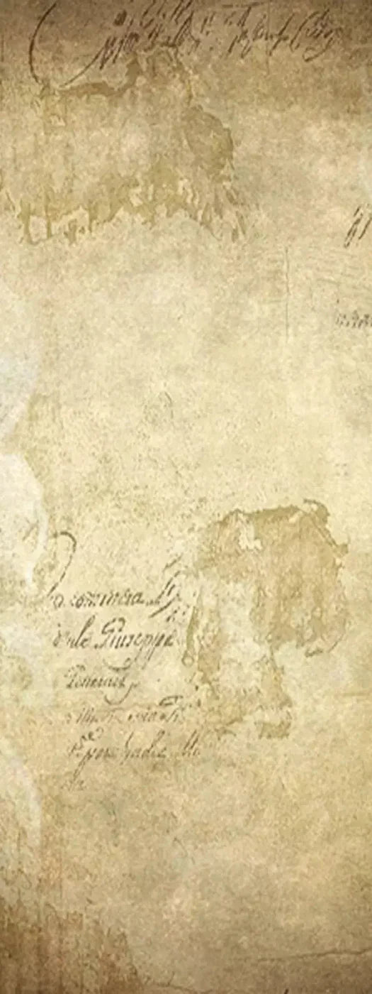 Venice 8X20 Ultracloth ( 96 X 240 Inch ) Backdrop