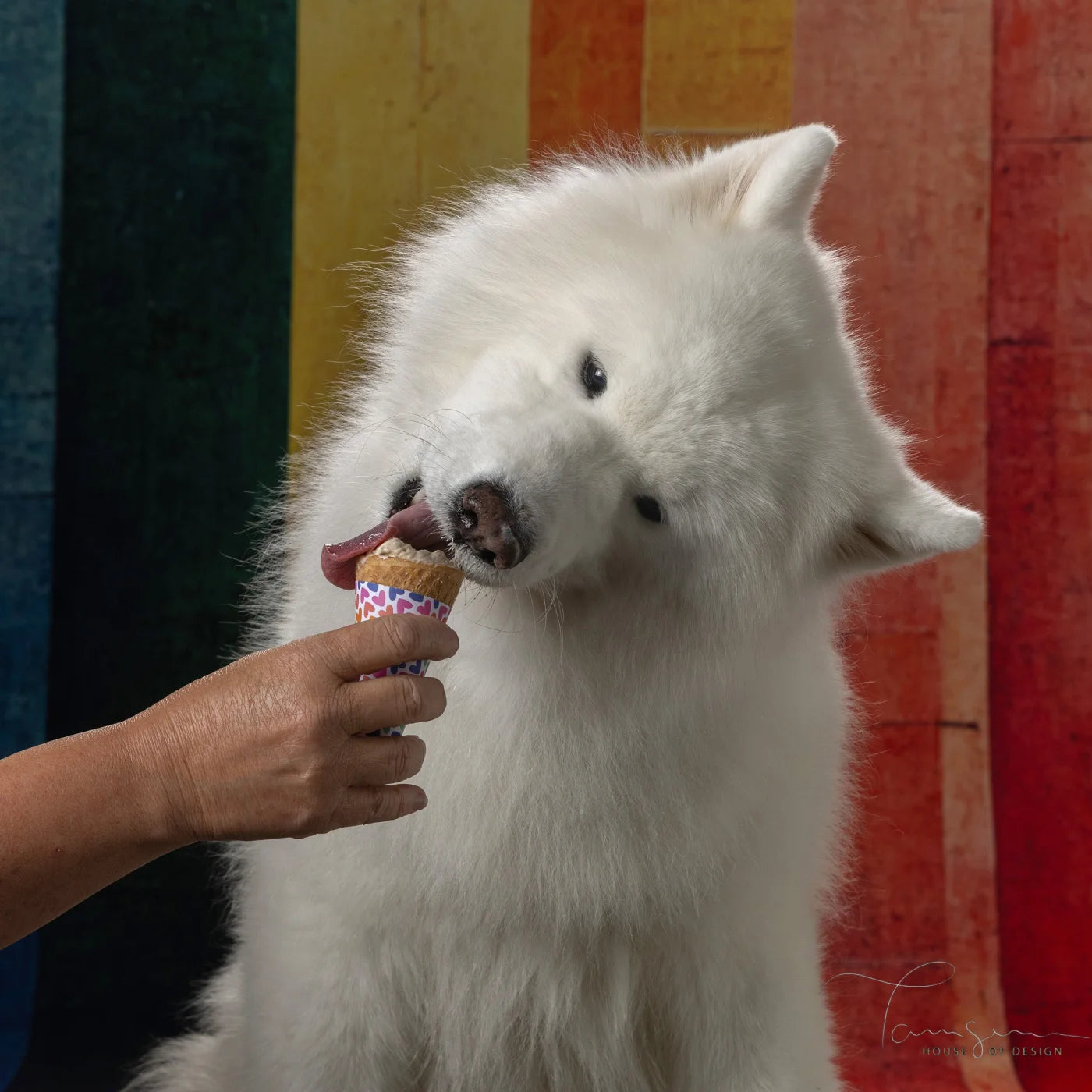 Vertical Pride Backdrop