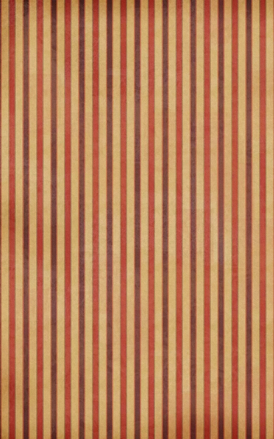 Villa 9X14 Ultracloth ( 108 X 168 Inch ) Backdrop