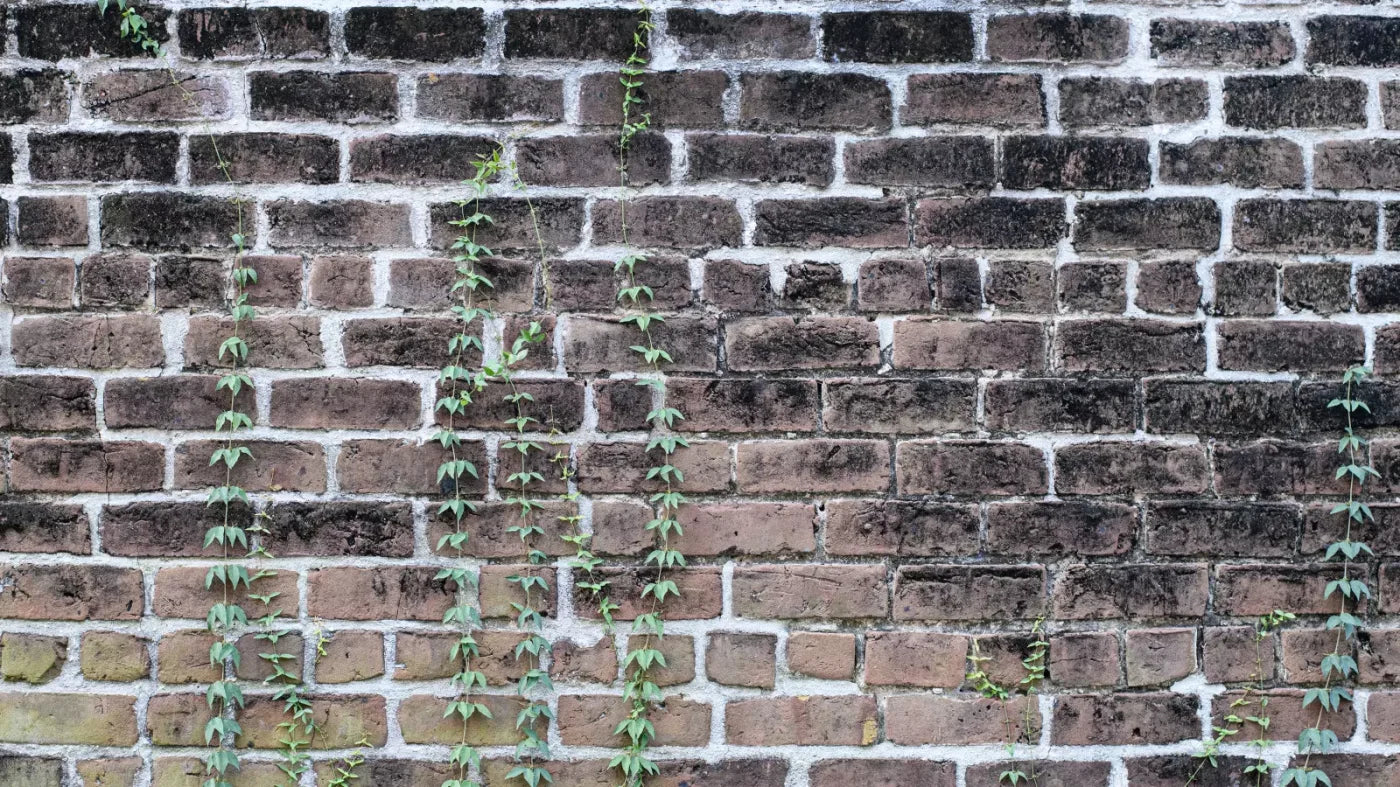 Vine Stone 14X8 Ultracloth ( 168 X 96 Inch ) Backdrop