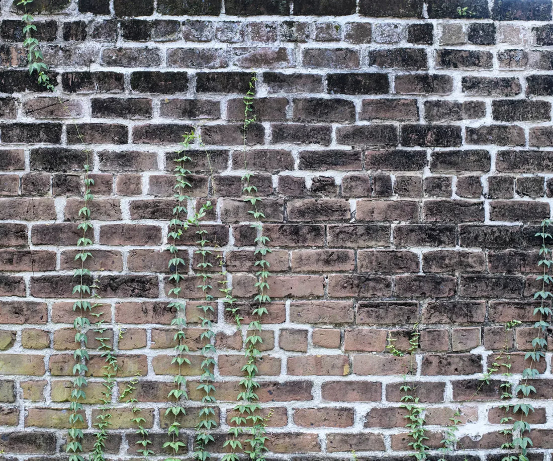 Vine Stone 5X42 Fleece ( 60 X 50 Inch ) Backdrop