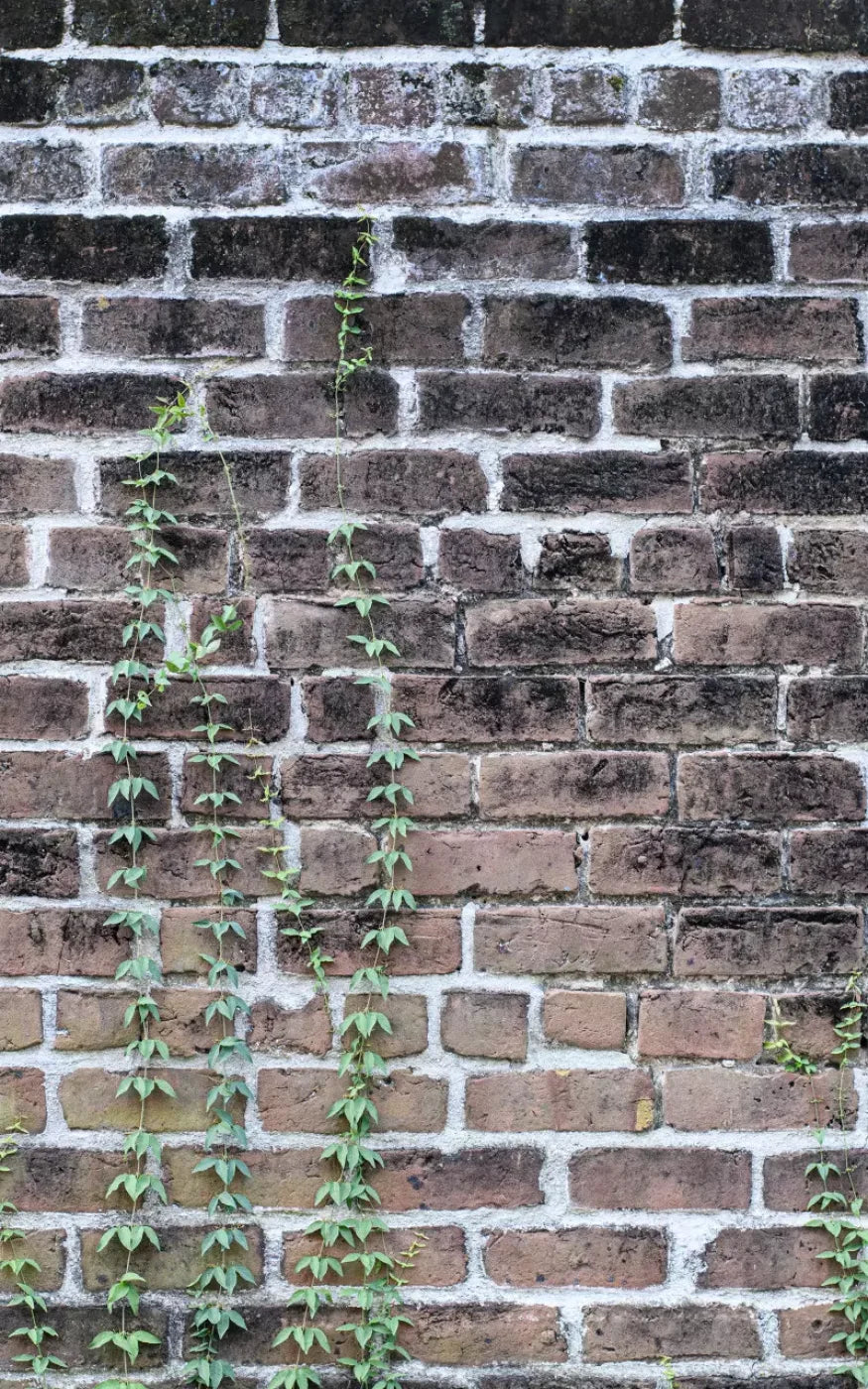 Vine Stone 9X14 Ultracloth ( 108 X 168 Inch ) Backdrop