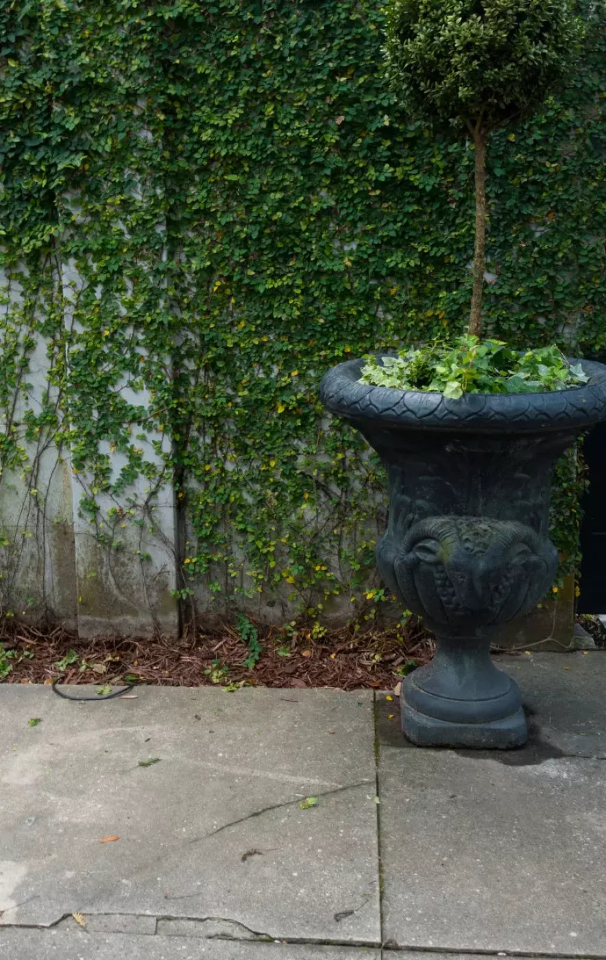 Vine Wall 10X16 Ultracloth ( 120 X 192 Inch ) Backdrop