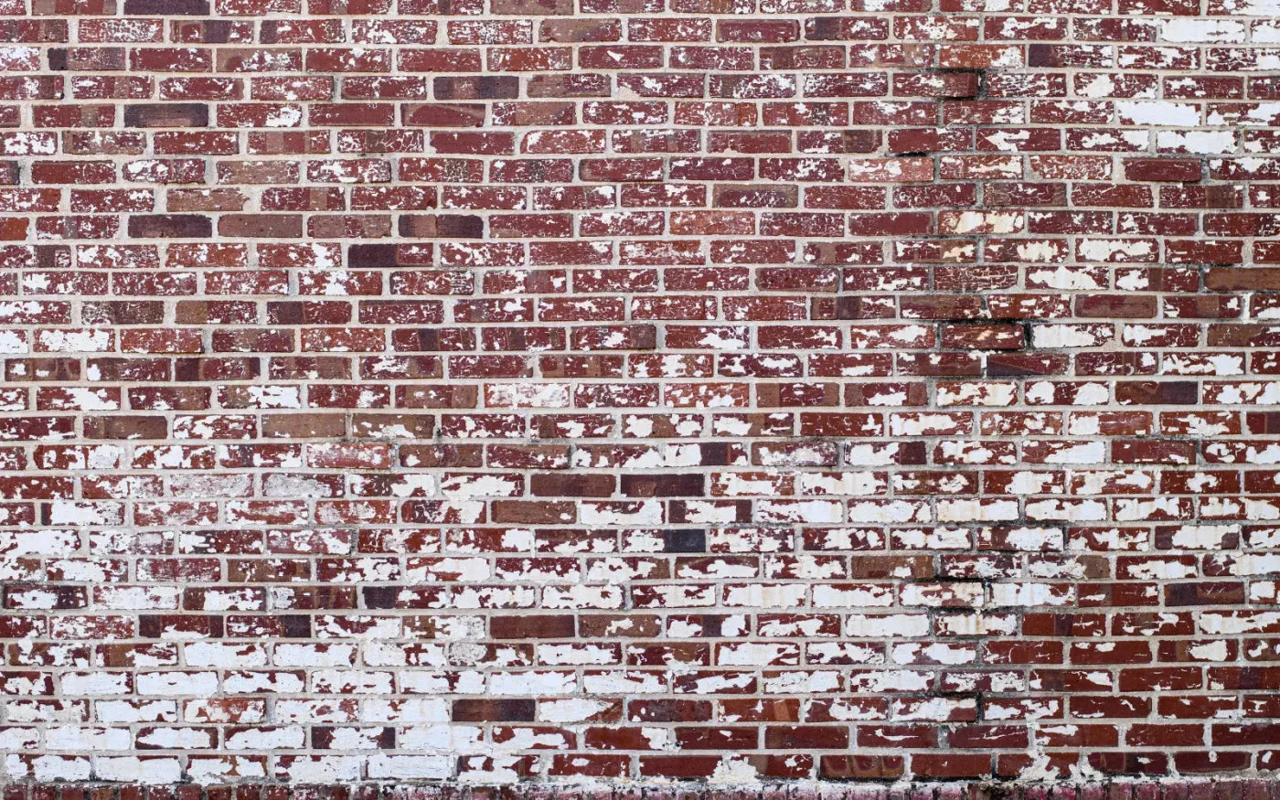 Vintage Brick 14X9 Ultracloth ( 168 X 108 Inch ) Backdrop