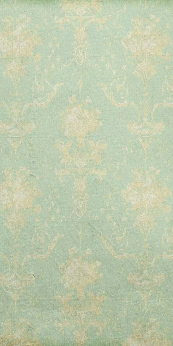 Vintage Mint 10X20 Ultracloth ( 120 X 240 Inch ) Backdrop