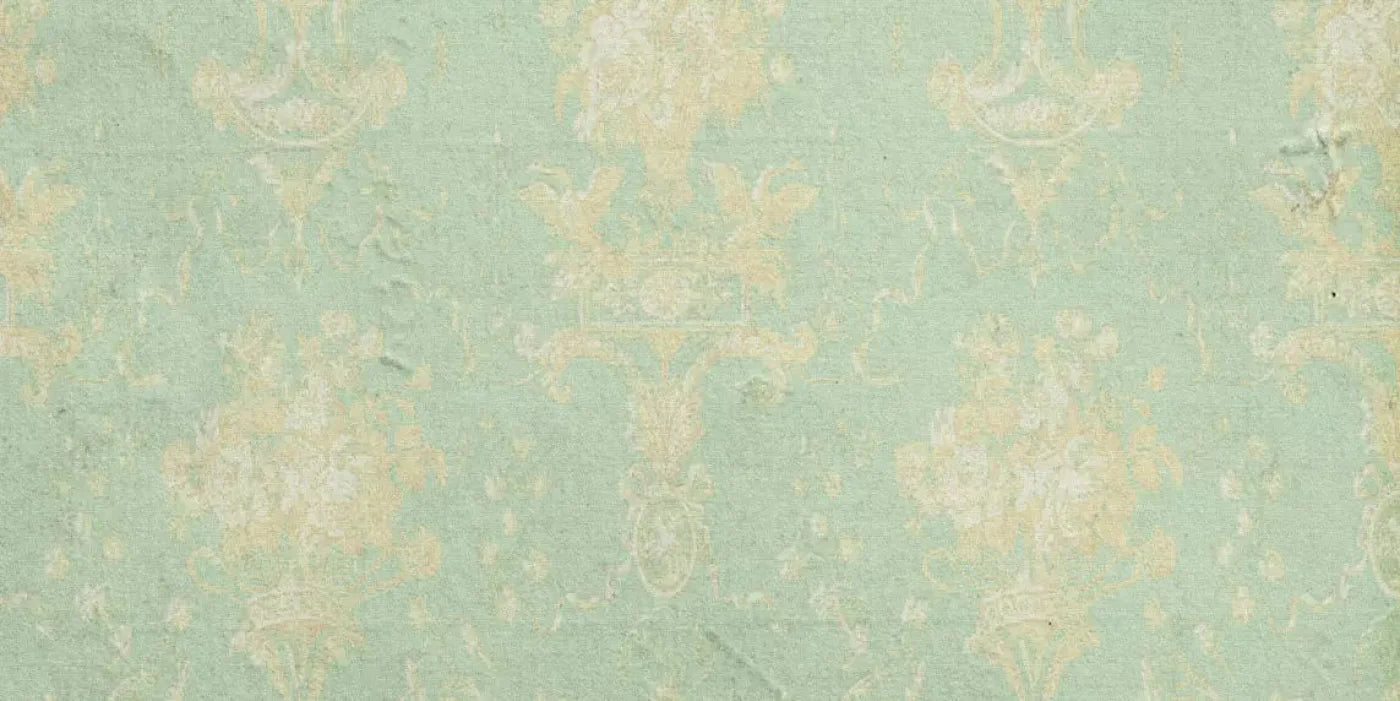 Vintage Mint 20X10 Ultracloth ( 240 X 120 Inch ) Backdrop