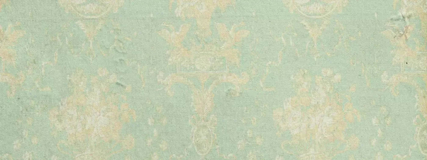 Vintage Mint 20X8 Ultracloth ( 240 X 96 Inch ) Backdrop