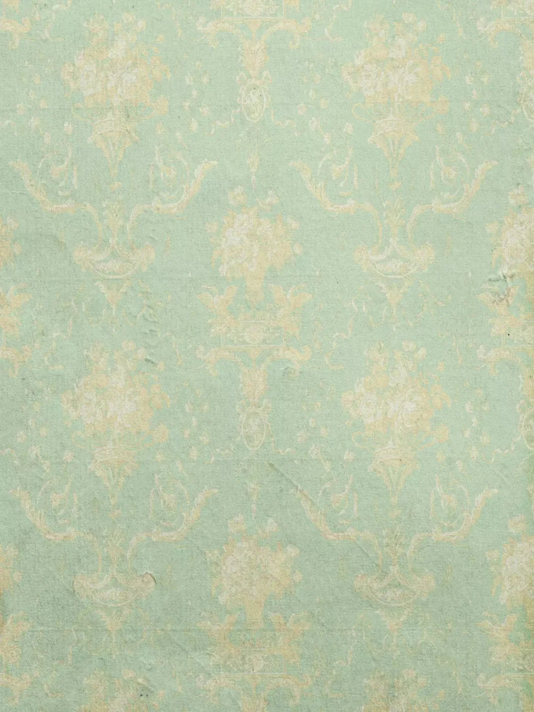 Vintage Mint 5X68 Fleece ( 60 X 80 Inch ) Backdrop