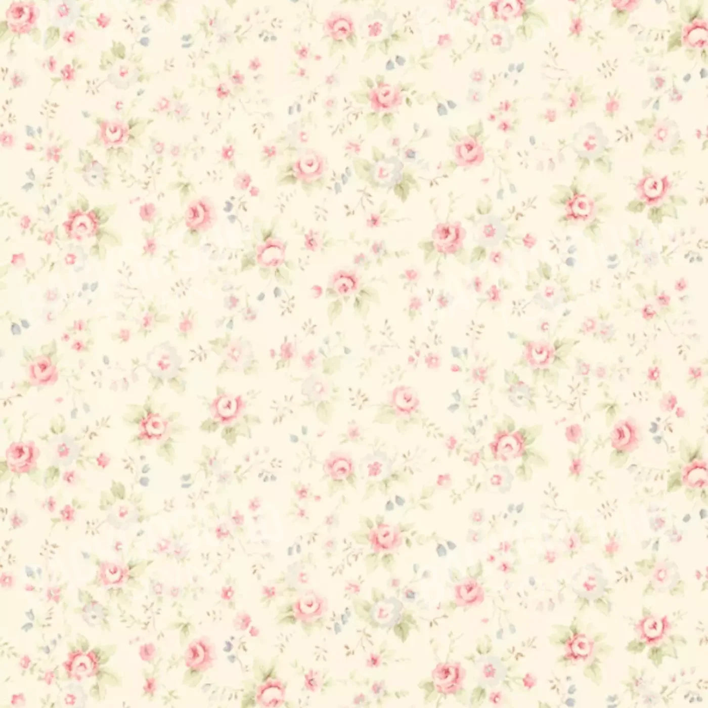Vintage Rosie Cream 10’X10’ Ultracloth (120 X Inch) Backdrop