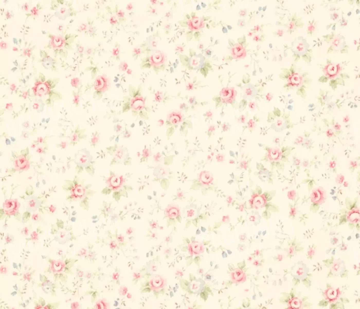 Vintage Rosie Cream 12’X10’ Ultracloth (144 X 120 Inch) Backdrop